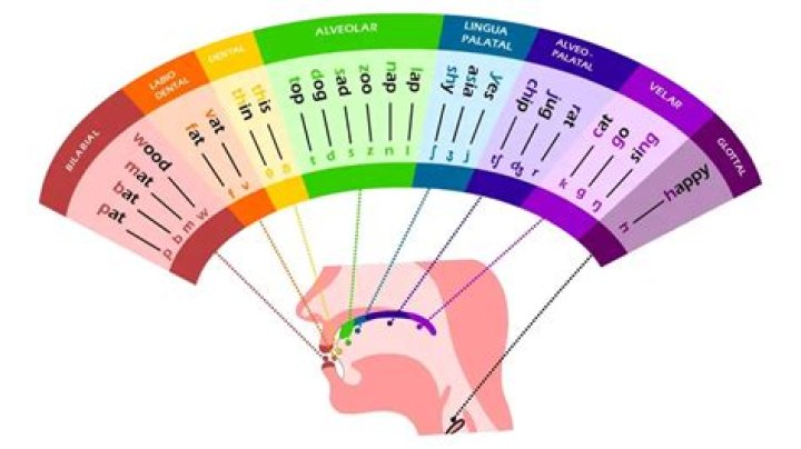 Why is a voiced glottal plosive impossible?
