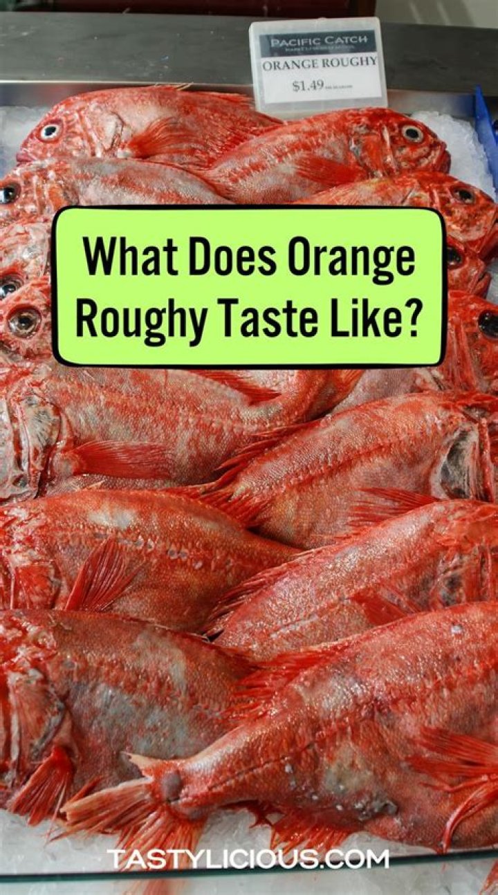 Why is orange roughy hard to find?