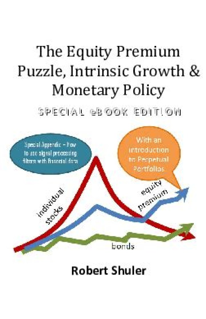 Why is the equity premium a puzzle?