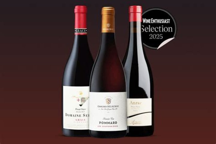 Why pinot noir is the best?